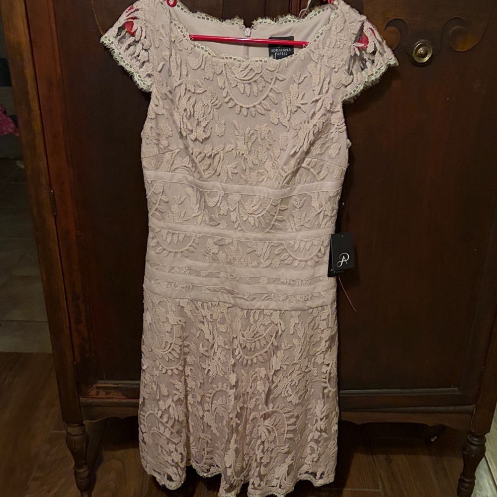 Adrianna Papell Blush Lace Midi Dress with Cap Sleeves NWT